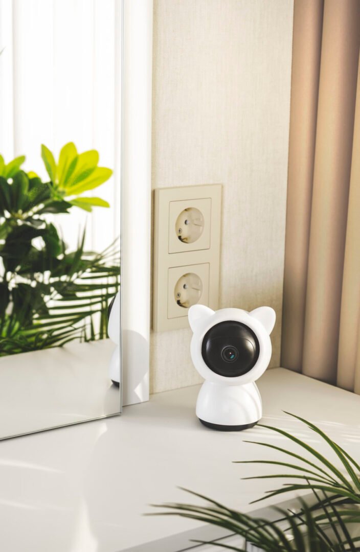 Decorative camera in cozy room setting